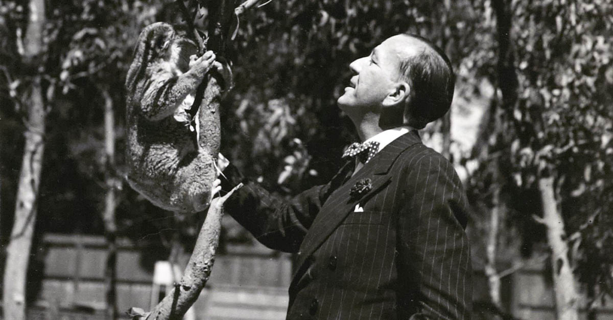 Noël Coward with koalas in Adelaide in 1940 (Noël Coward Archive Test)